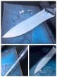 根本朋之须鲇鱼