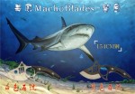 美国MachoBlades-鲨鱼EDC小刀