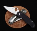 SPYDERCO 蜘蛛C223 轴承折叠刀 （ G10 柄 )