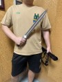 野马兵锋