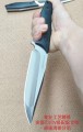 博尔特飞鲨Flying Shark