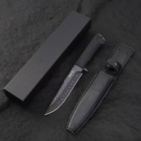 kizlyar俄罗斯 基兹利亚尔 背齿风筝